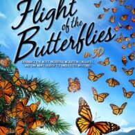 Flight of the Butterflies