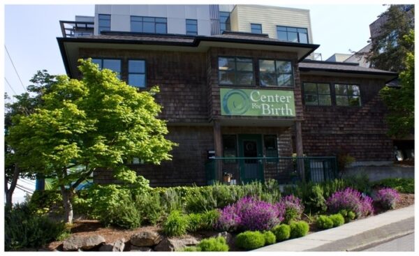 Maternity care options