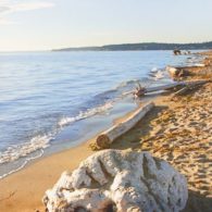 Sandy beach at Jetty Island beach near Everett, Washington
