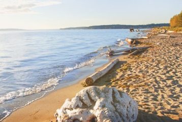 Sandy beach at Jetty Island beach near Everett, Washington