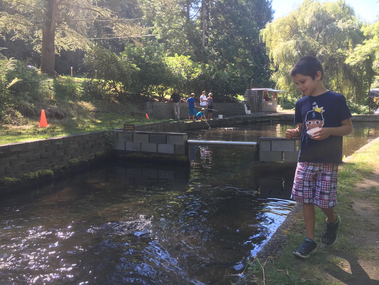 Gold creek trout farm 