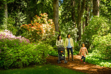 Keith Brofksy_Bloedel2-6133