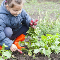 kid-friendly garden crops