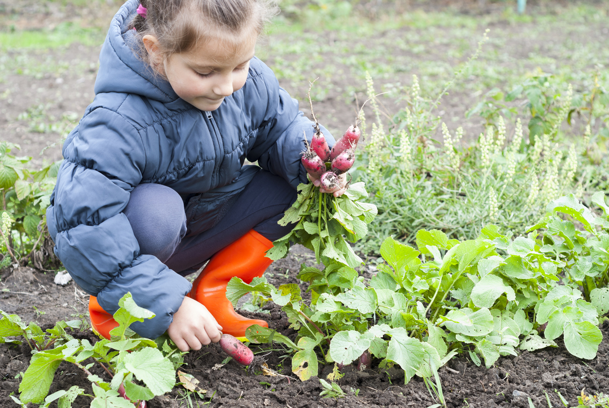 kid-friendly garden crops