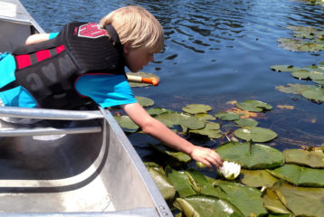 Six-year-old touching a lily pad when renting a canoe at UW.