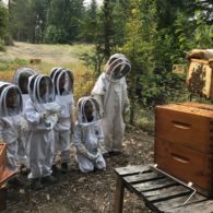 kids watching beekeeper