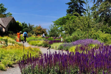 Garden Parks:Bellevue Botanical Garden