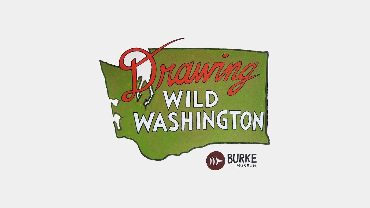 graphic element/ map of Washington