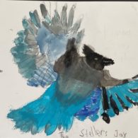 child drawing of bird