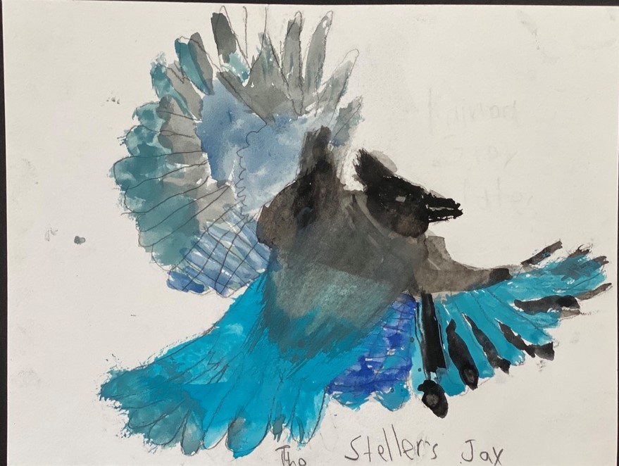 child drawing of bird