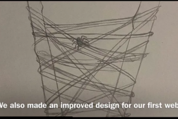 Weekend picks! Spider in a web, with caption "We also made an improved design for our first web!