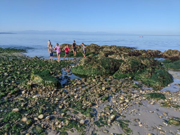 Deception Pass State Park