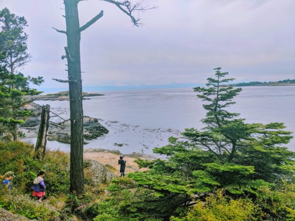Shark Reef Sanctuary 