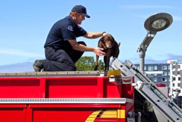 Erika's picks: Fire day at MOHAI