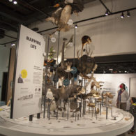 Burke Museum: Adult and child wearing masks view the web of life exhibit