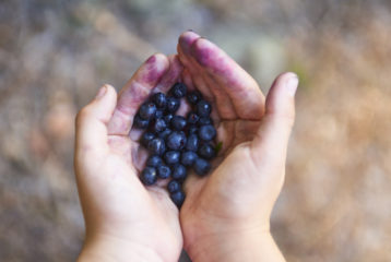 weekend picks: child's hands holding blueberries