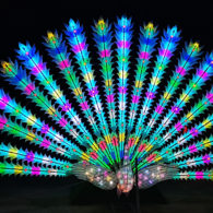 WildLanterns at Woodland Park