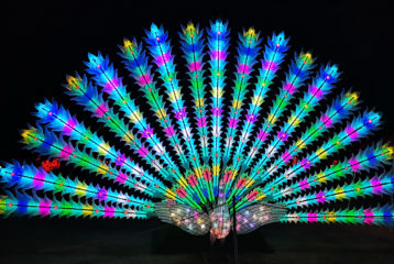 WildLanterns at Woodland Park