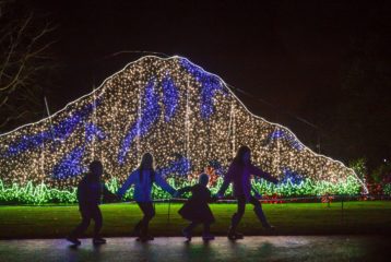 Zoolights 2021