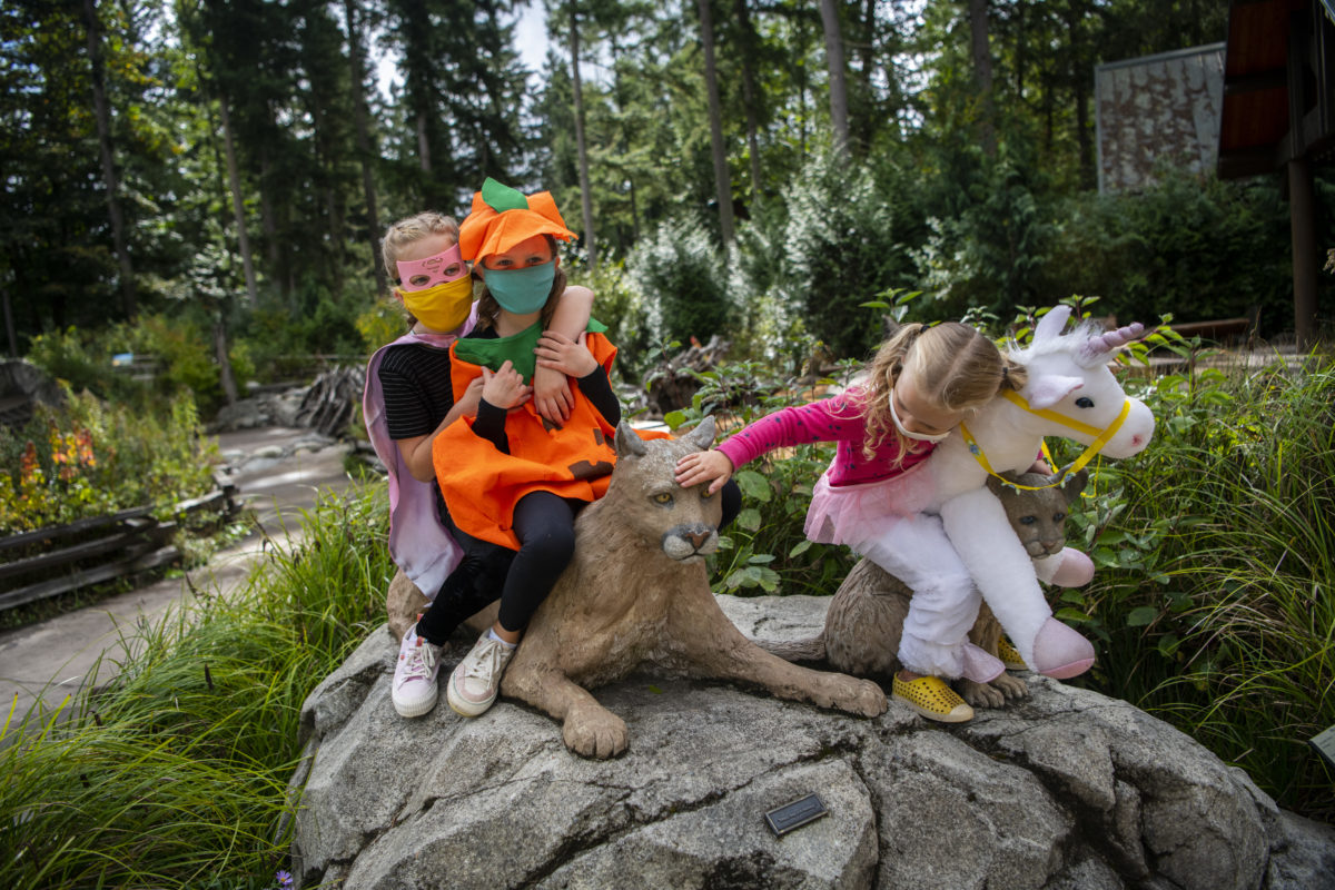 weekend: Kids in costume at NW Trek Wildlife Park.