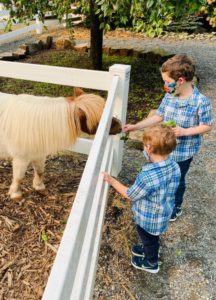 Pony and two boys at Fox Hollow Family Farm