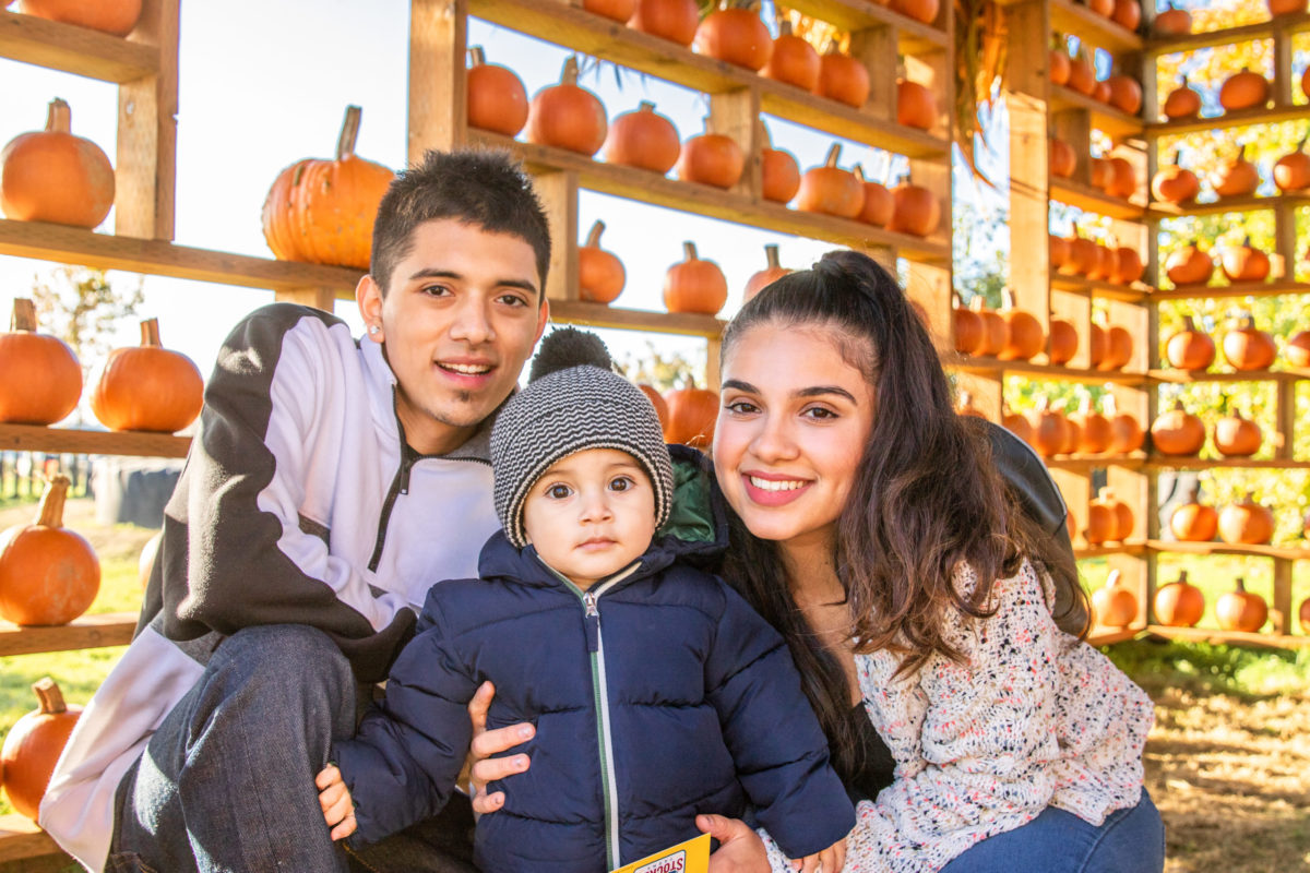 Pumpkin patch: Man, woman and child in front of pumpkins at Stocker Farm
