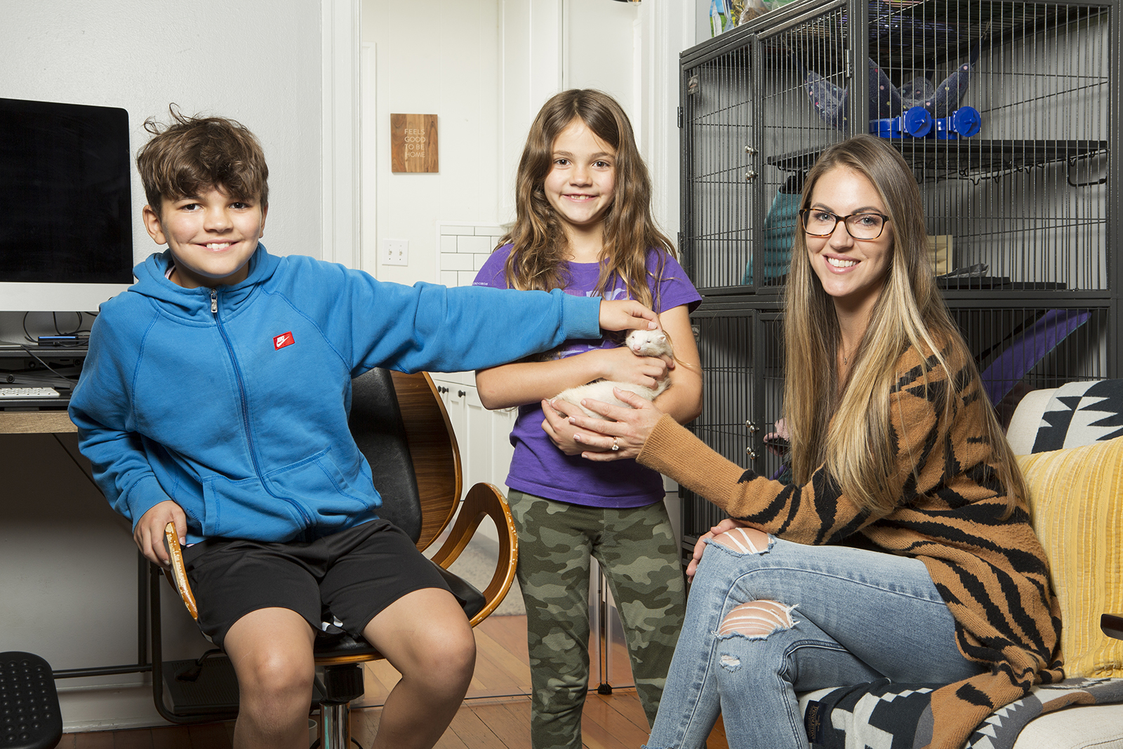 new pet ferret November 2020