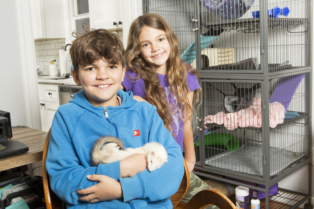 kids pet ferret November 2020