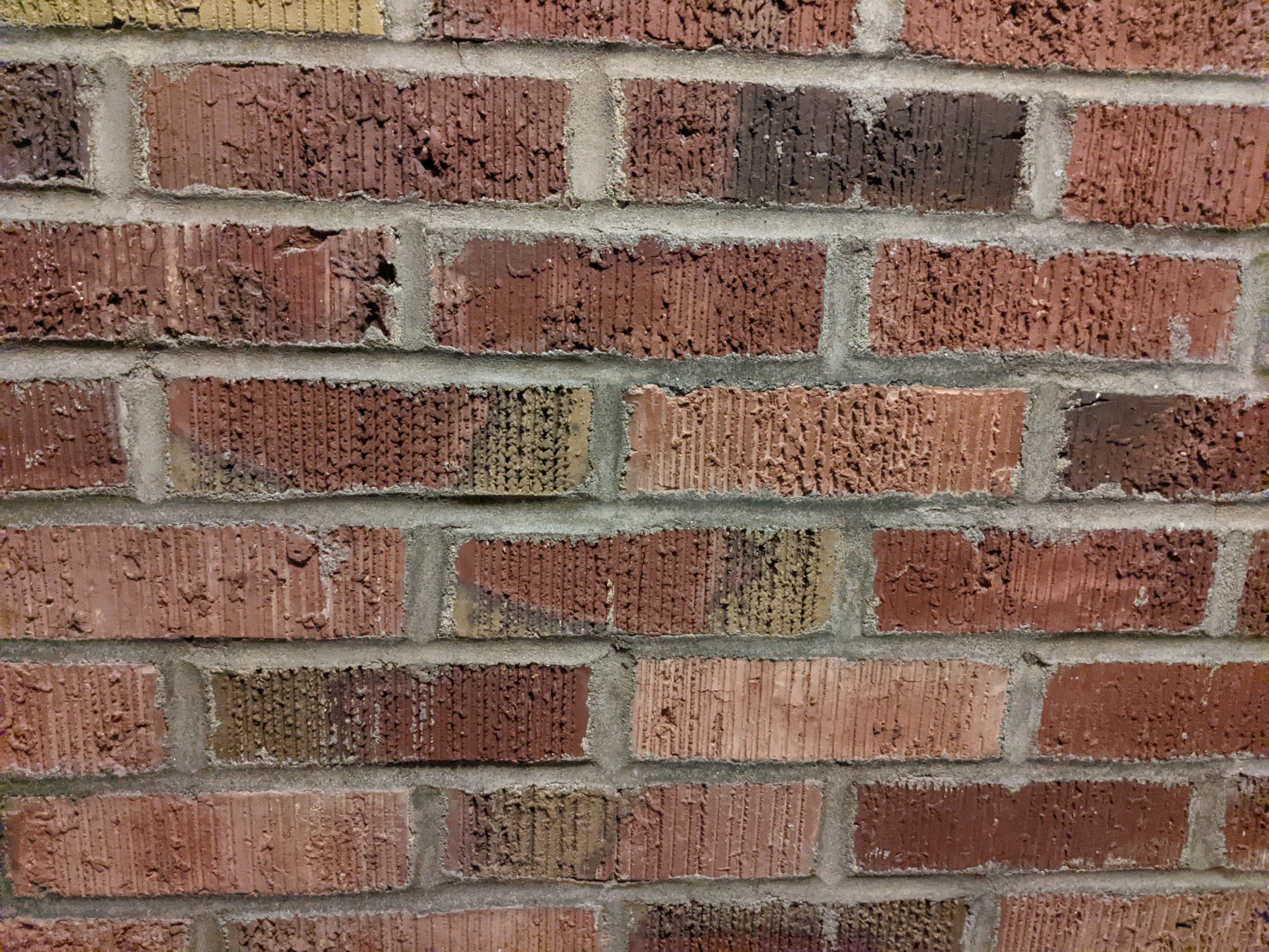 schools reopening 11/2020