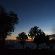 Christmas star 2020 JiaYing Grygiel photo