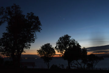 Christmas star 2020 JiaYing Grygiel photo