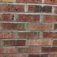 reopen schools letter / opinion Amplified