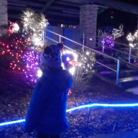 ZooLights parent review