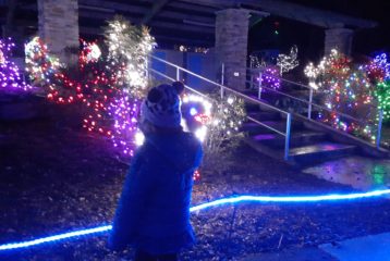 ZooLights parent review