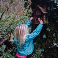 Bainbridge gnome homes