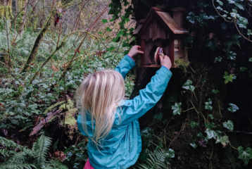 Bainbridge gnome homes