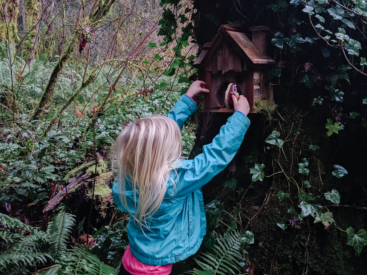 Bainbridge gnome homes