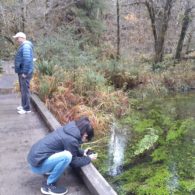 Olympic National Park family trip