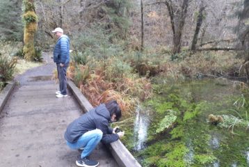 Olympic National Park family trip