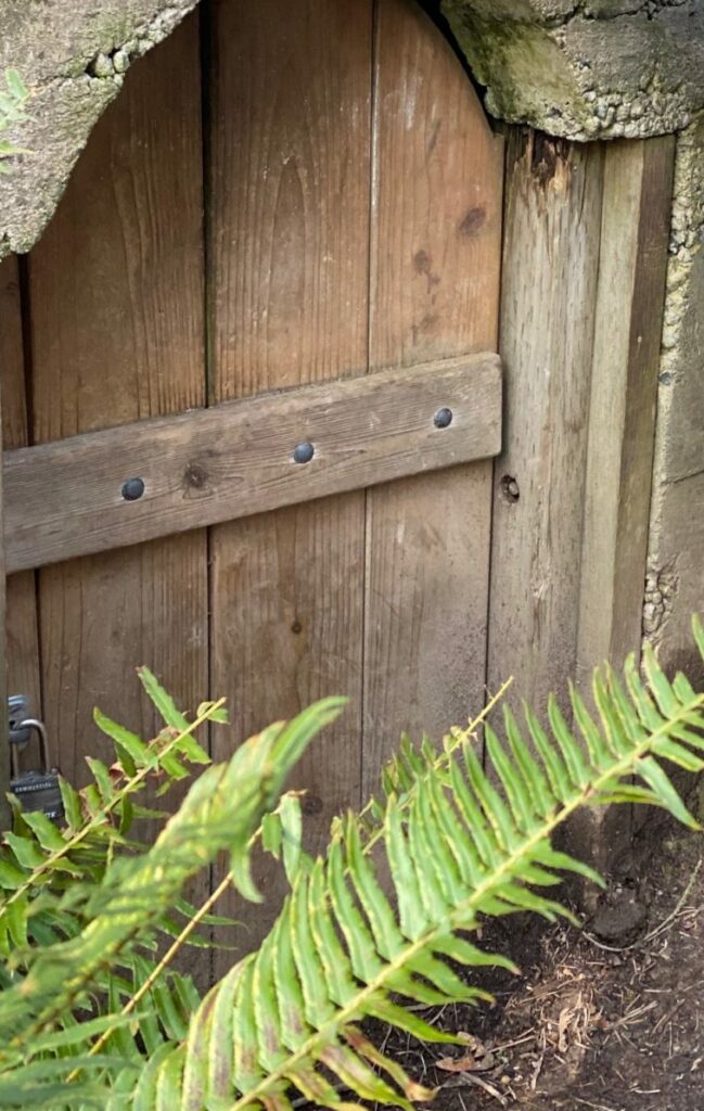 Bellevue Botanical Garden