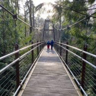 Bellevue Botanical Garden