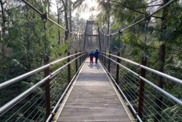 Bellevue Botanical Garden