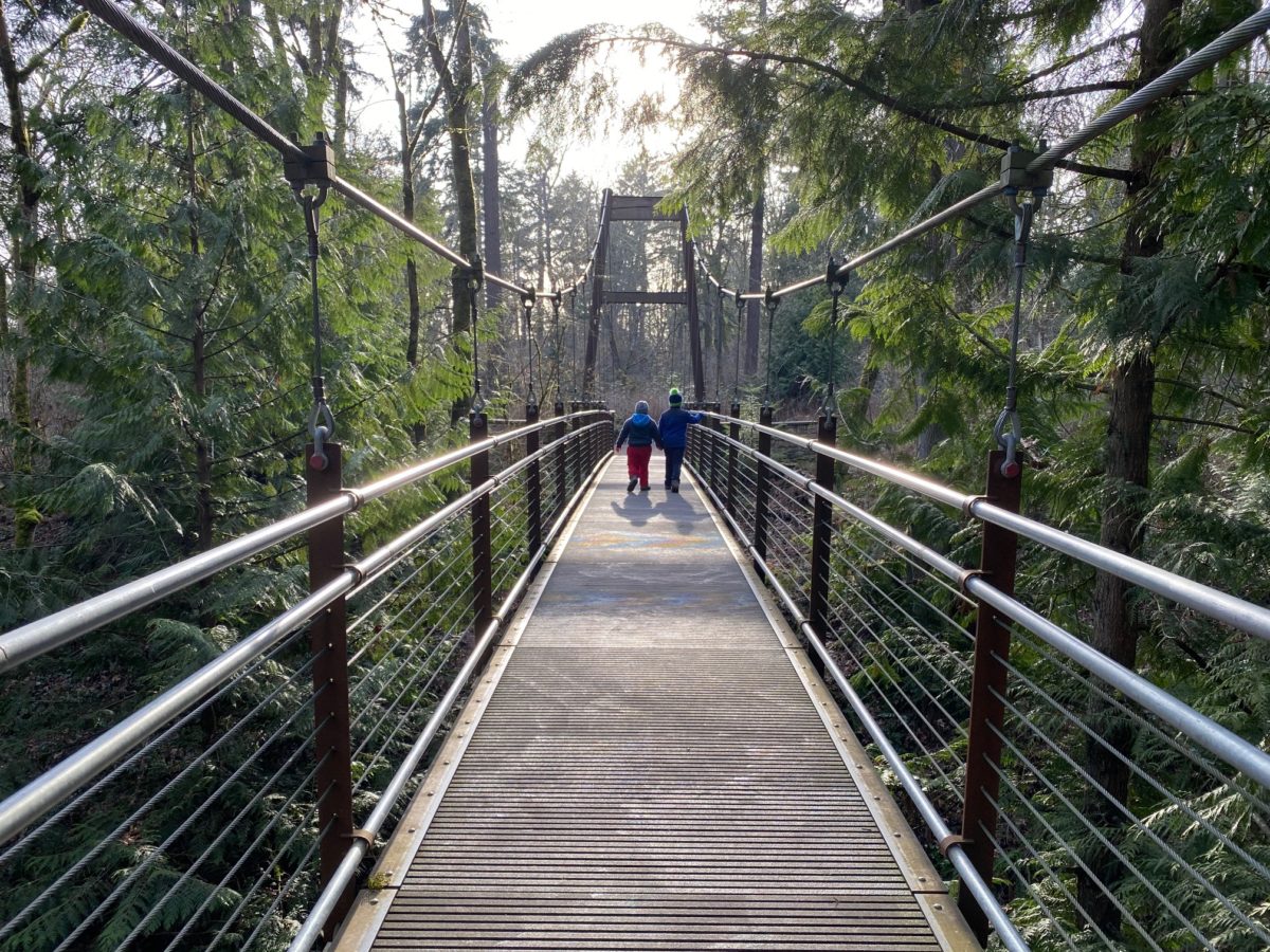 Bellevue Botanical Garden