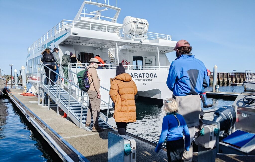Family whale-watching trip