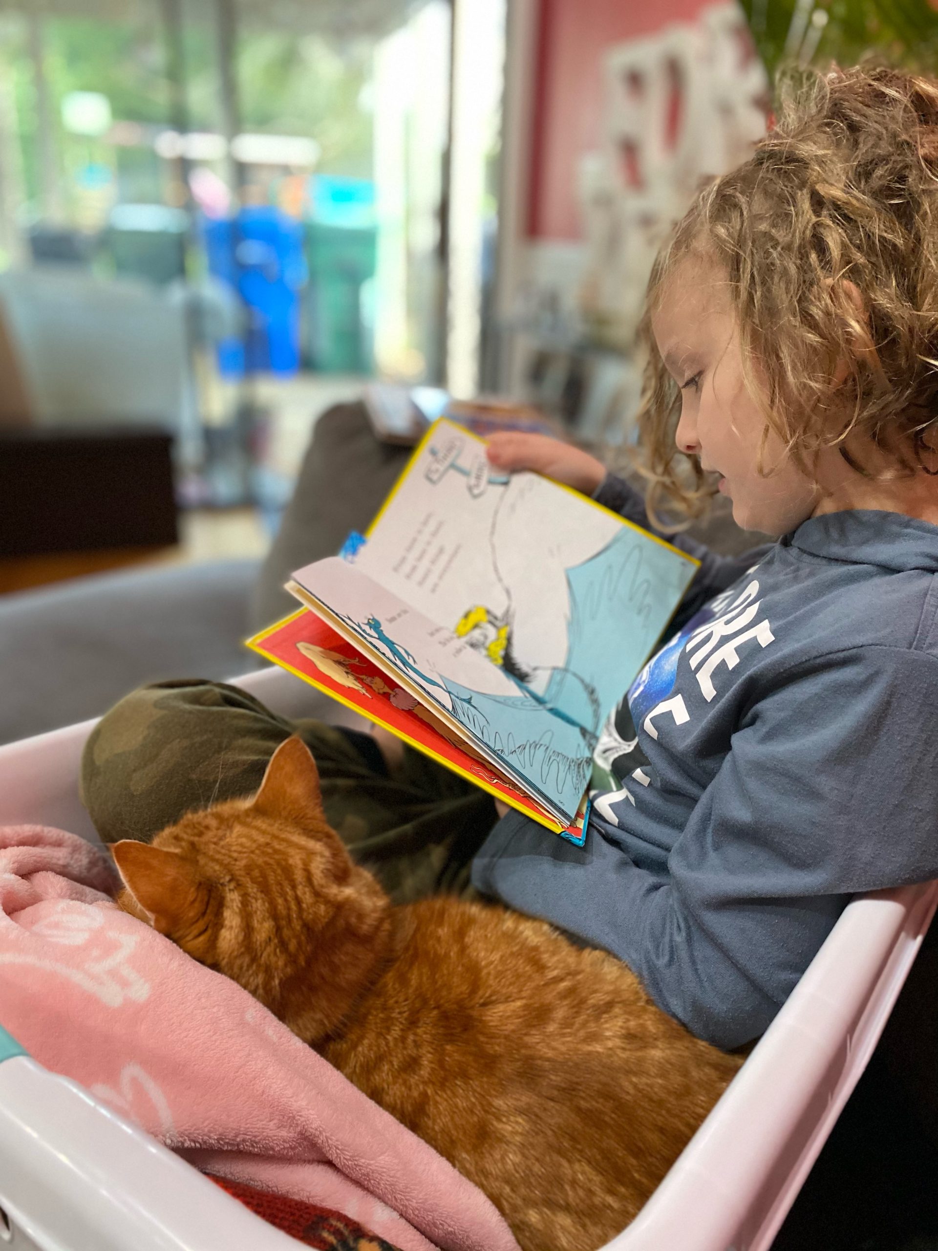 honorable mention family pet contest