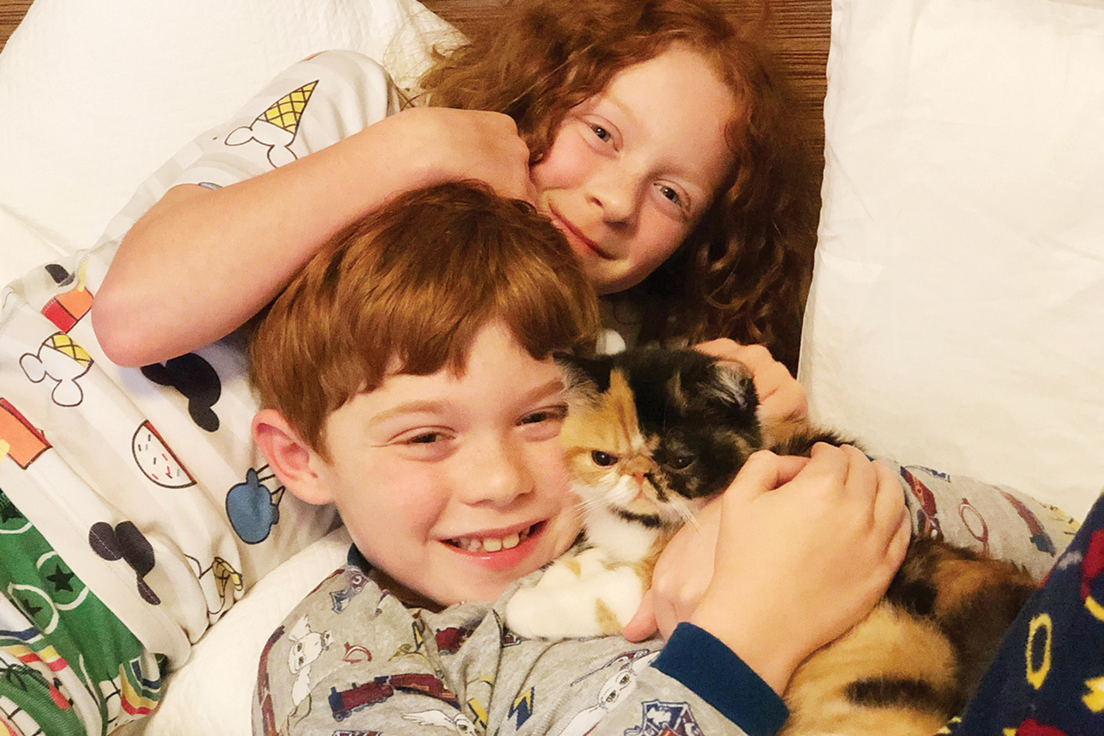 hon mention family pet contest