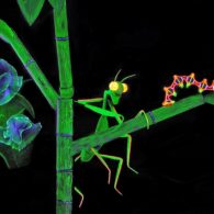 streaming puppet show