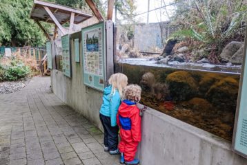 Northwest Stream Center