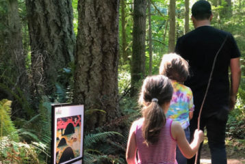 weekend fun Erika's Picks