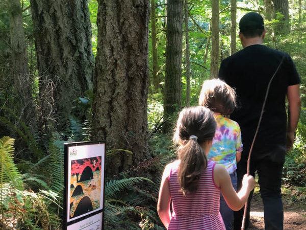 weekend fun Erika's Picks